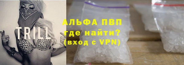 стаф Горно-Алтайск