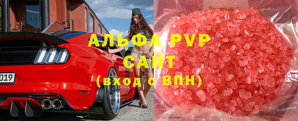 стаф Горно-Алтайск