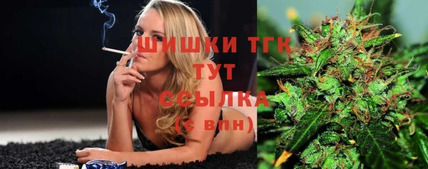 стаф Горно-Алтайск