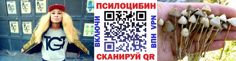 Псилоцибиновые грибы Psilocybine cubensis Нея